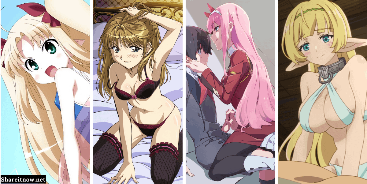 Erotic anime series