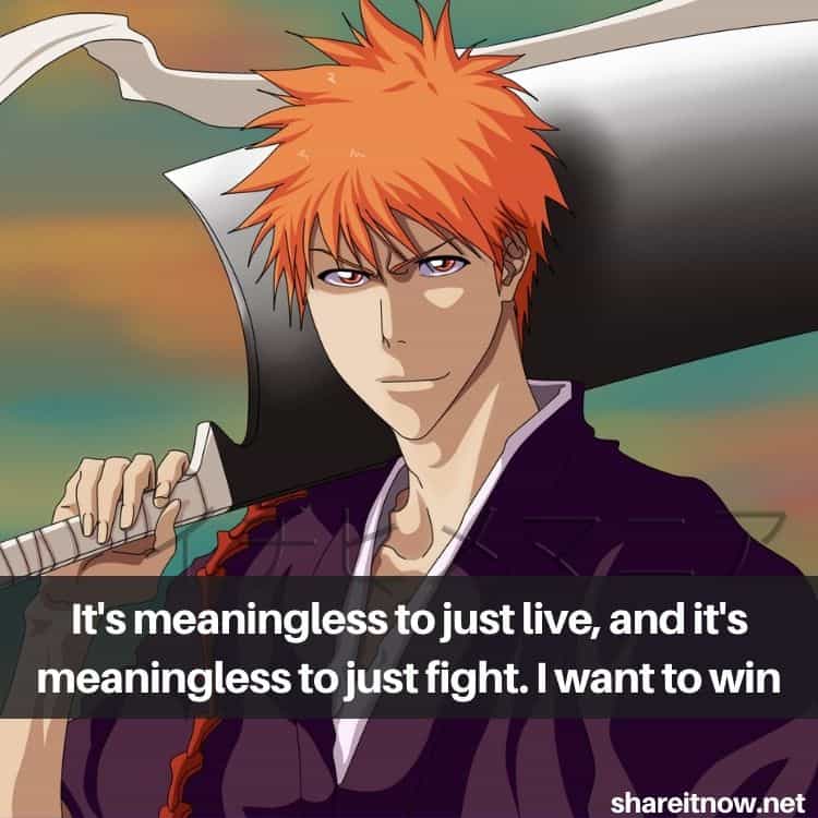 Kurosaki Ichigo quotes